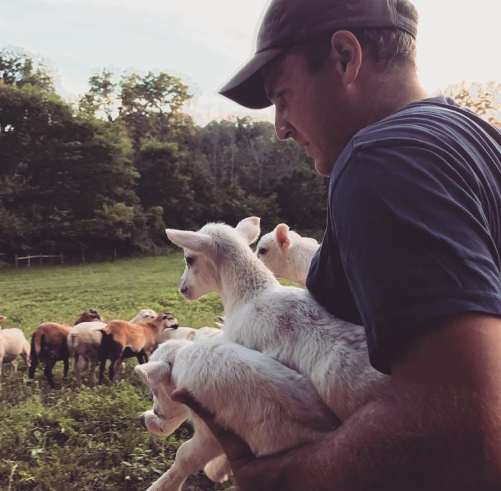 Carroll Creek Farms is a local family farm in Waynesville. CONTRIBUTED