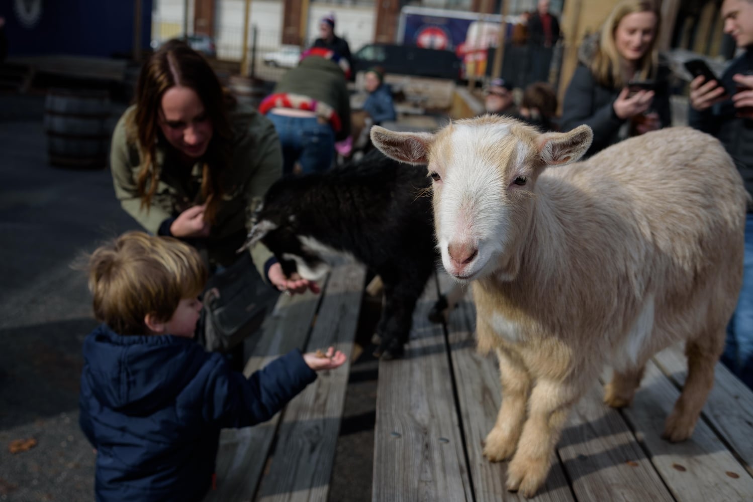 PHOTOS: Did we spot you frolicking with the cutest kids at Dayton Beer Company’s GoatFest?