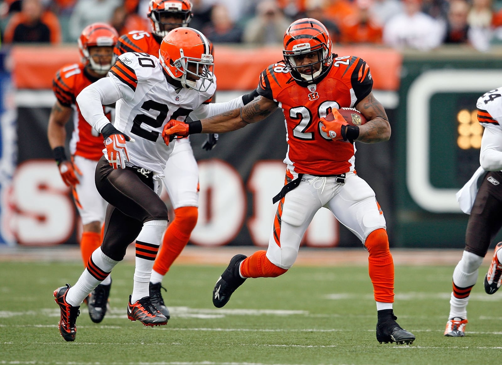 CINCINNATI - NOVEMBER 29:  Bernard Scott #28 of the Cincinnati Bengals runs with the ball  while defended by Mike Adams #20 of the Cleveland Browns at Paul Brown Stadium on November 29, 2009 in Cincinnati, Ohio.  (Photo by Andy Lyons/Getty Images)