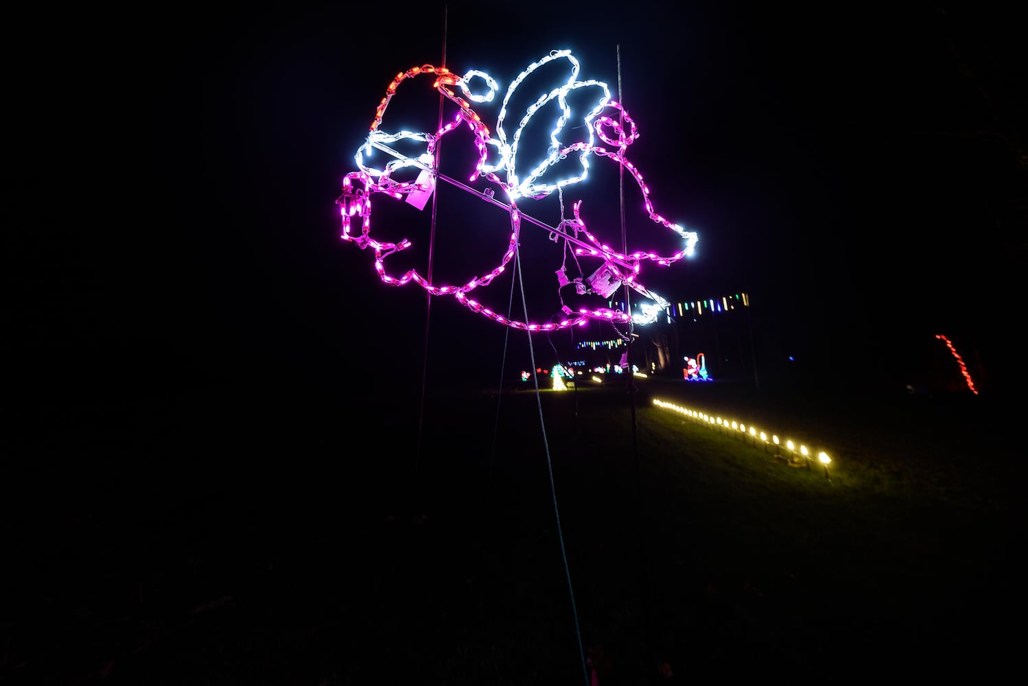 PHOTOS: 2024 Holiday Lights at Lost Creek Reserve in Troy