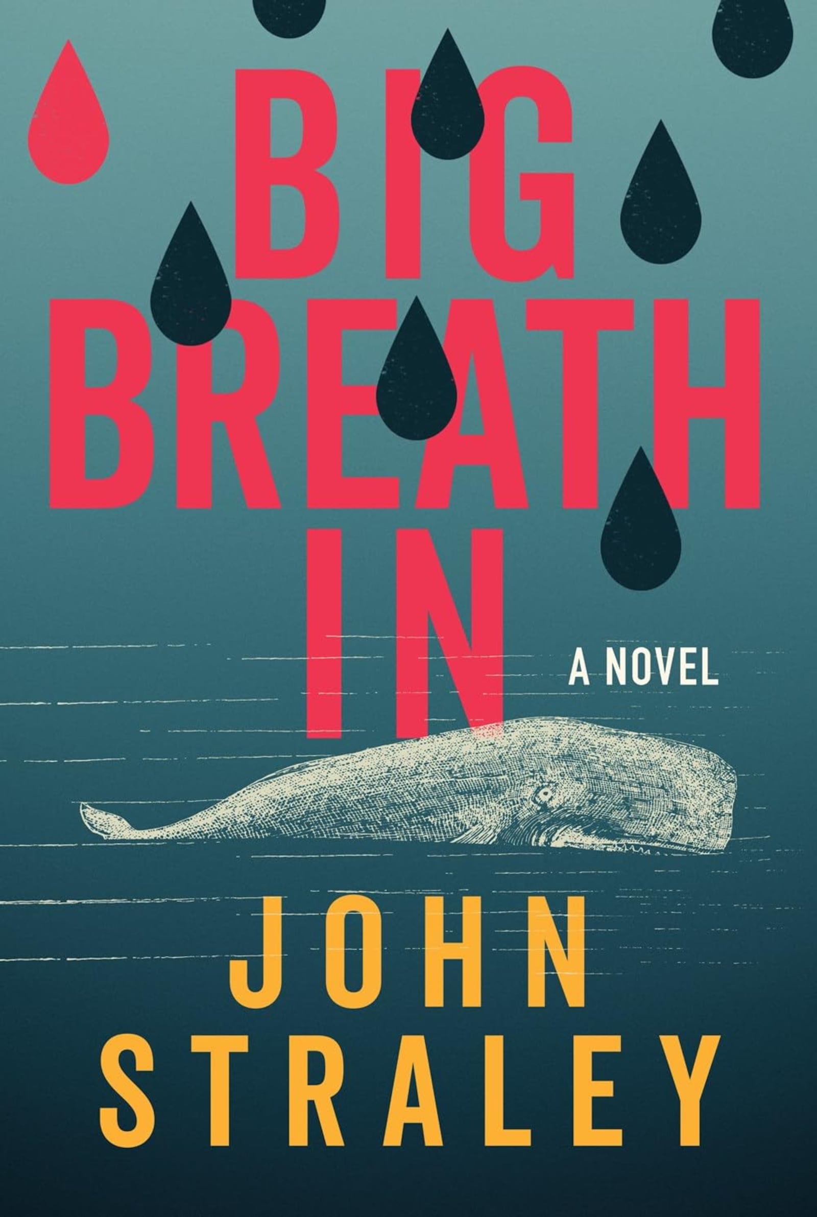 "Big Breath In" by John Straley (Soho Crime, 277 pages, $28.95)