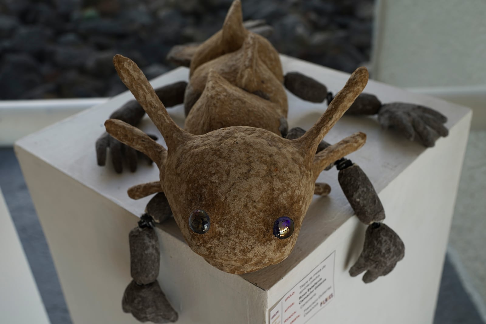 A figure of an axolotl sits on display at a museum in Xochimilco Ecological Park, in Mexico City, Tuesday, Feb. 11, 2025. (AP Photo/Marco Ugarte)