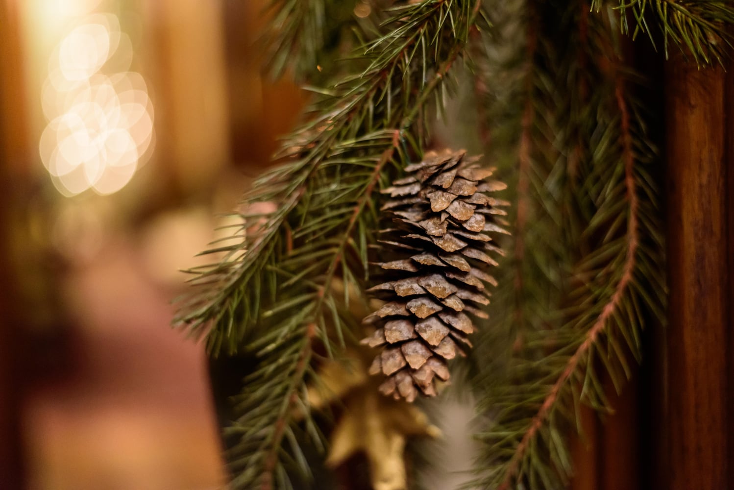 PHOTOS: The Bossler Mansion in St. Anne's Hill decked out for the holidays