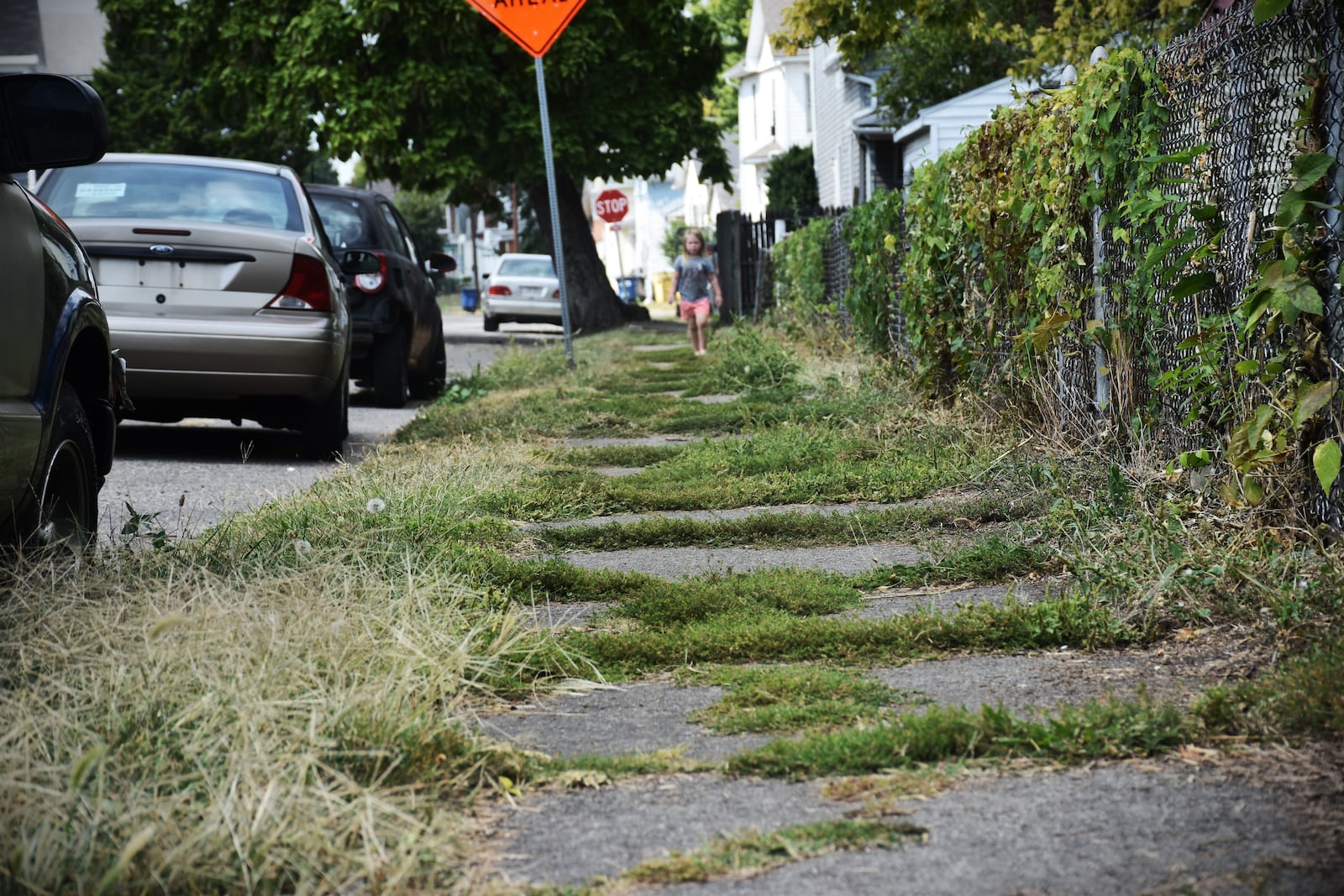 Grass and weeds grow out of cracks on the sidewalk on Clover Street in East Dayton. The city of Dayton plans to upgrade sidewalks on Clover Street and other roads in the Twin Towers neighborhood. CORNELIUS FROLIK / STAFF