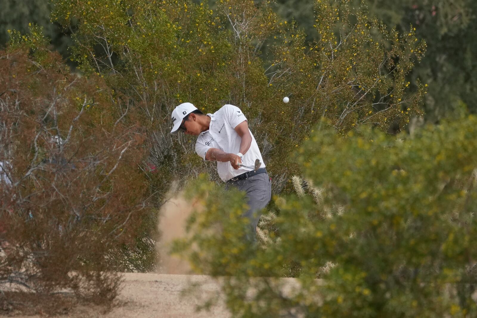 Michael Kim hits out of the desert on the second hole during the final round of the Phoenix Open golf tournament at TPC Scottsdale Sunday, Feb. 9, 2025, in Scottsdale, Ariz. (AP Photo/Ross D. Franklin)