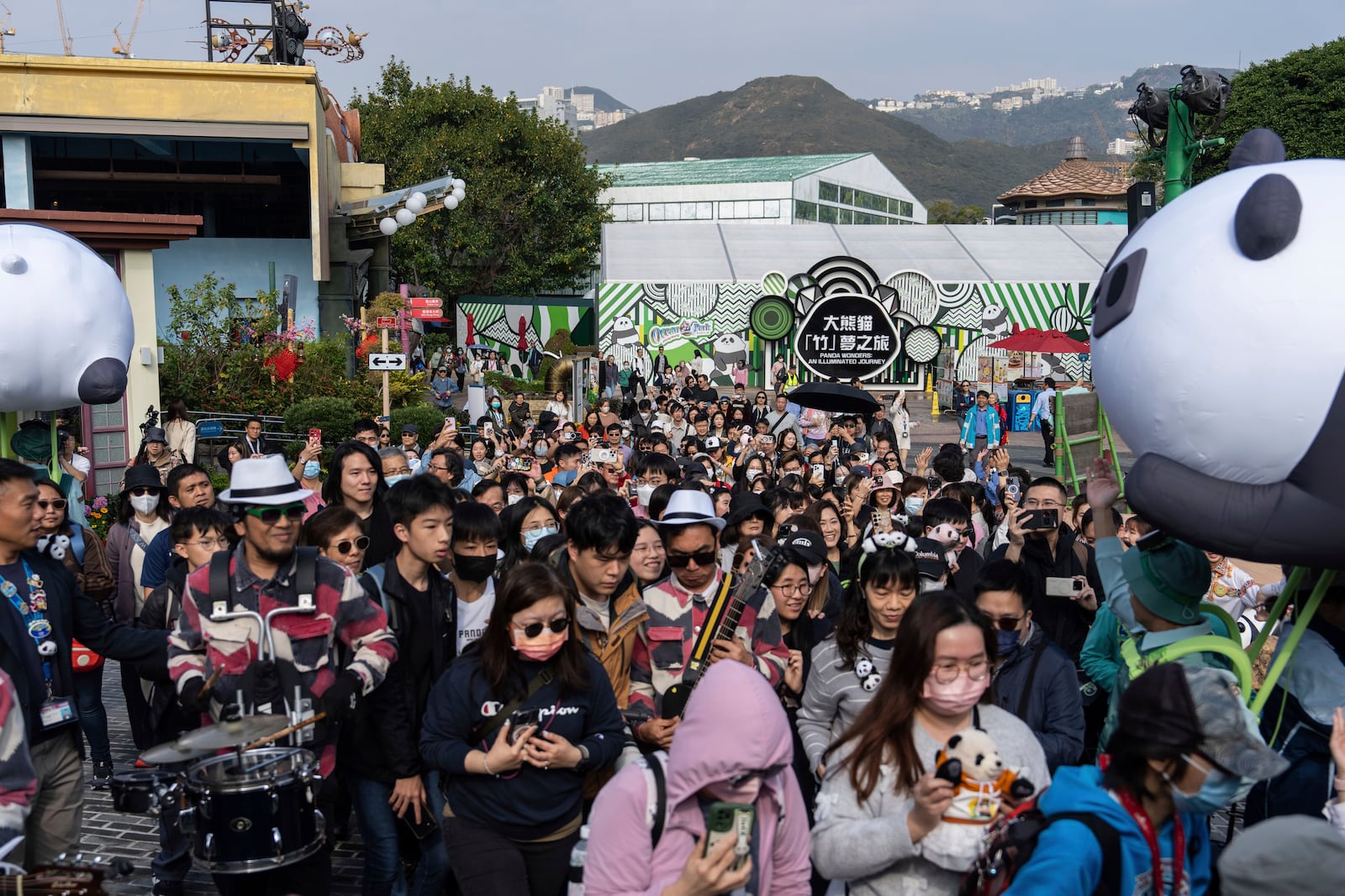 Visitors enter the panda enclosure to meet the Hong Kong-born giant panda twin cubs as they make their debut appearance to public in Ocean Park in Hong Kong, Sunday, Feb. 16, 2025. (AP Photo/Chan Long Hei)