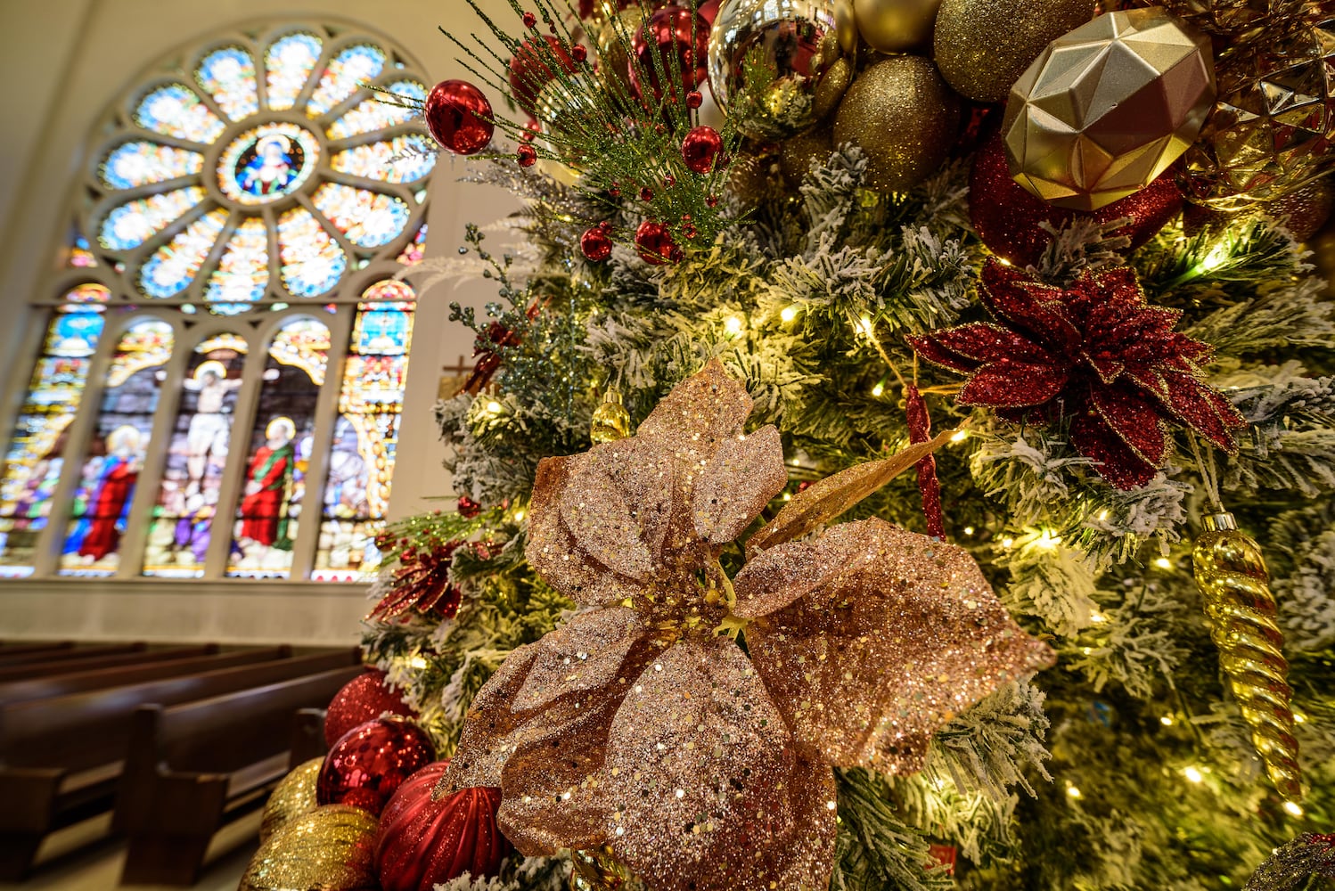 PHOTOS: A look inside Nhà Thờ Thánh Tâm (Sacred Heart Church) in downtown Dayton decorated for Christmas