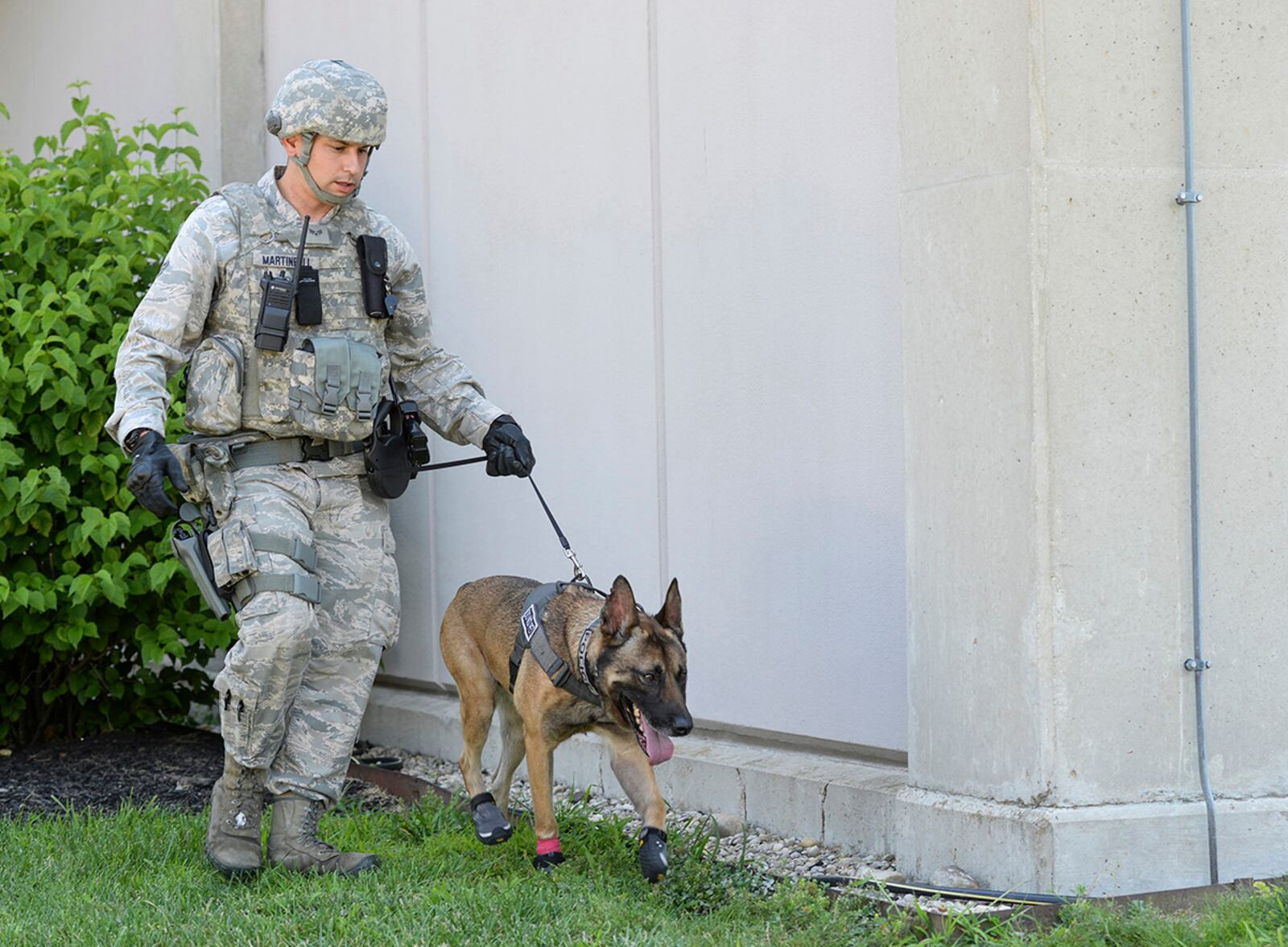 Military Working Dog Rudo and Senior Airman Anthony Martinelli of the 88th Security Forces Squadron sweep the National Air and Space Intelligence Center exterior during an active-shooter exercise Aug. 2, 2017, at Wright-Patterson Air Force Base. Rudo retired Nov. 16, 2020, at the end of an almost nine-year career in which he worked with, and helped train, 10 different handlers. U.S. AIR FORCE PHOTO/WESLEY FARNSWORTH