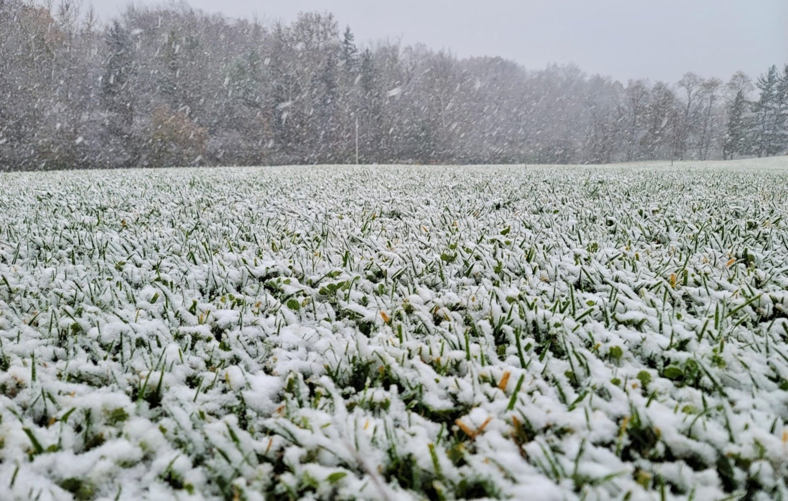 First snowfall of the season