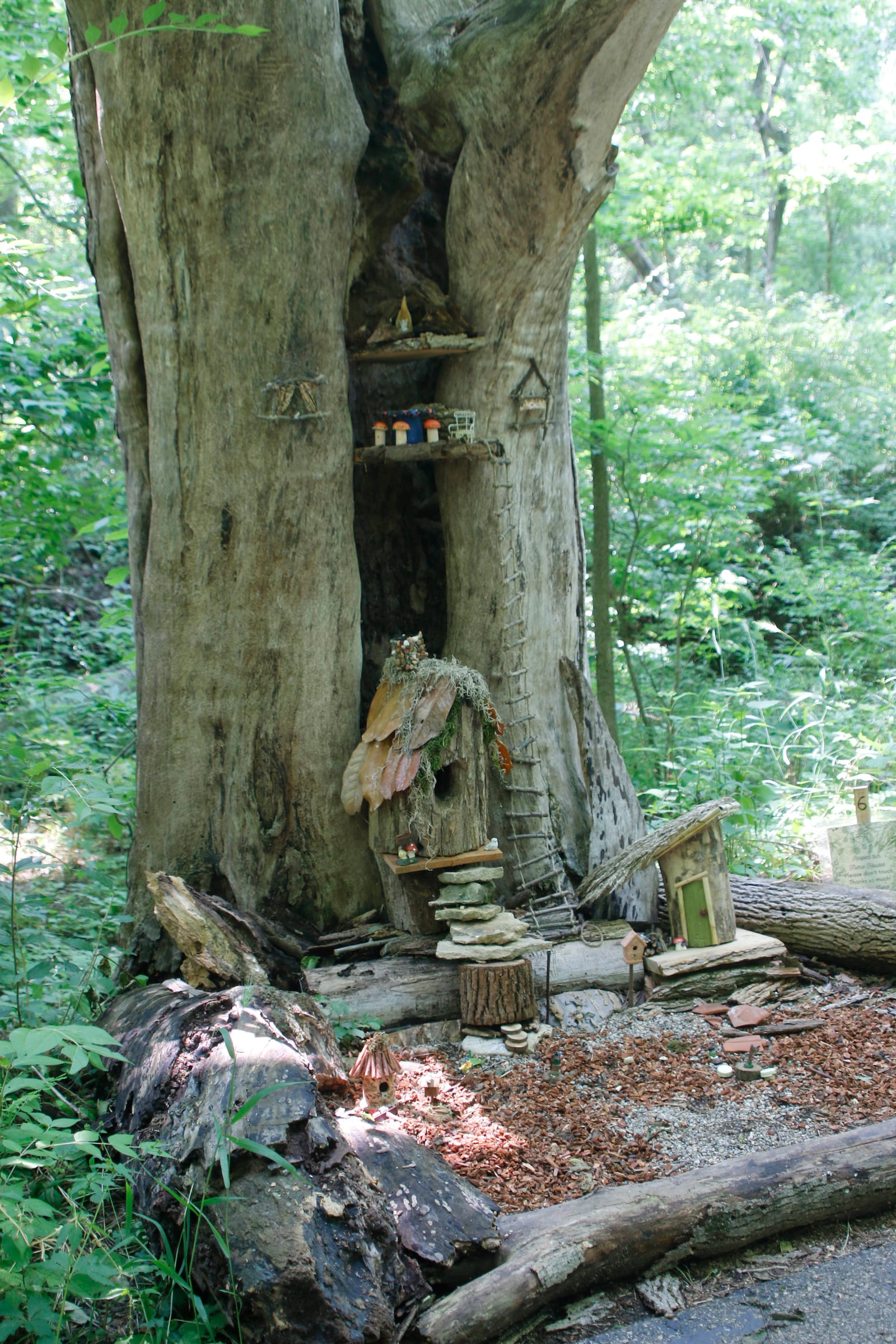 Christine Evans and Debbie Snyder used seeds in the design of this home for The Aullwood Faerie House Exhibit, Earth Elements. DAVE HILL/COURTSEY PHOTO