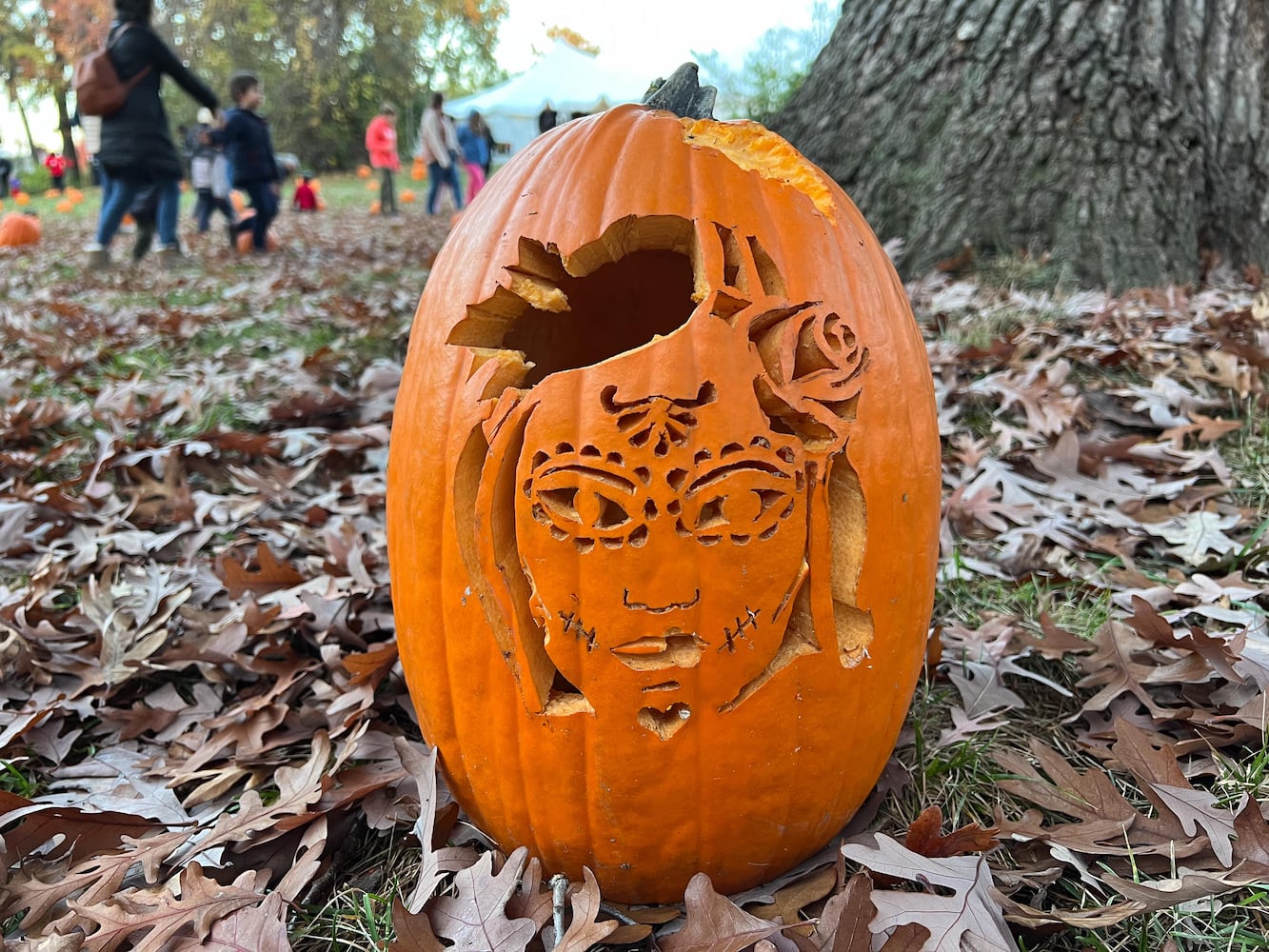 PHOTOS: The Stoddard Avenue Pumpkin Glow Night 1