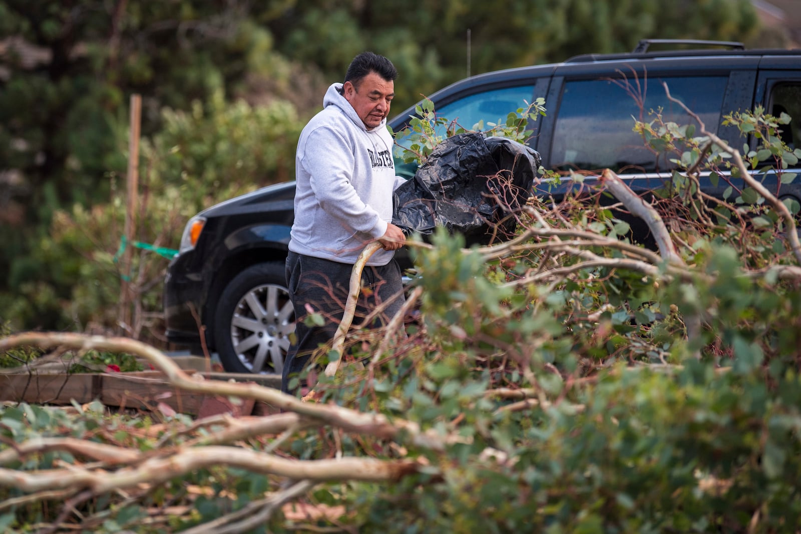 A man clears downed trees near his house in Seaside, Calif., Saturday, Dec. 14, 2024. (AP Photo/Nic Coury)