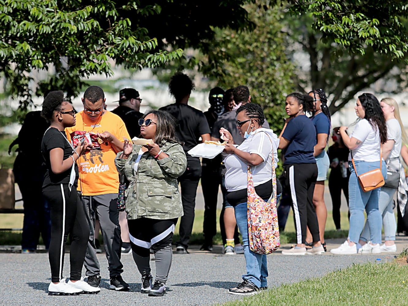 "Protestival" at McIntosh Park in Dayton