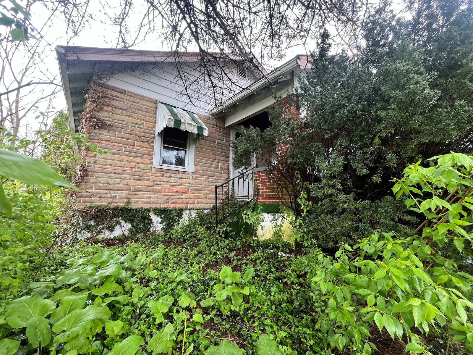 Overgrowth in front of a vacant home in Dayton's Westwood neighborhood. CORNELIUS FROLIK / STAFF