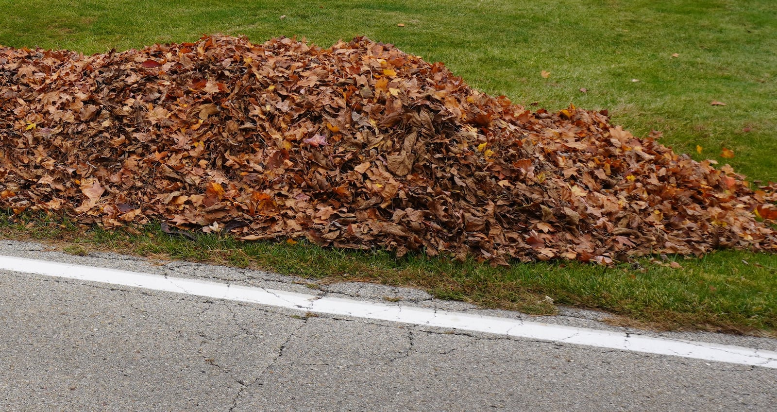 Gardeners look at these piles as “black gold” compost or leafmould.