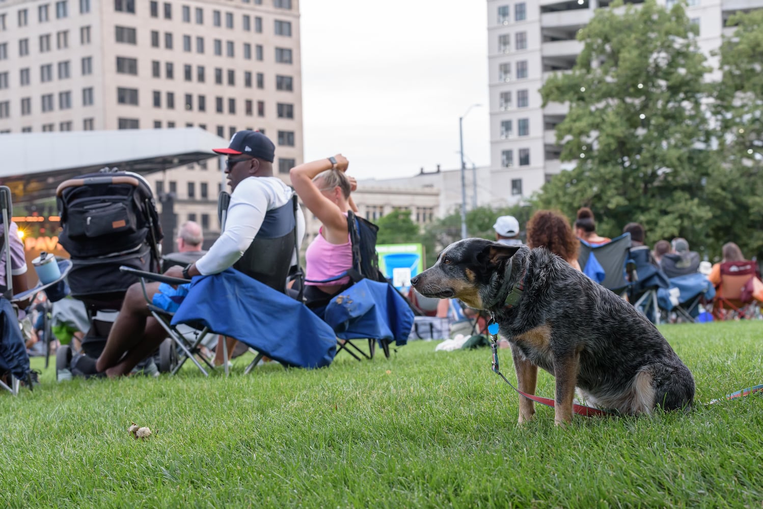 PHOTOS: The Vindys with The Hathaways live at Levitt Pavilion