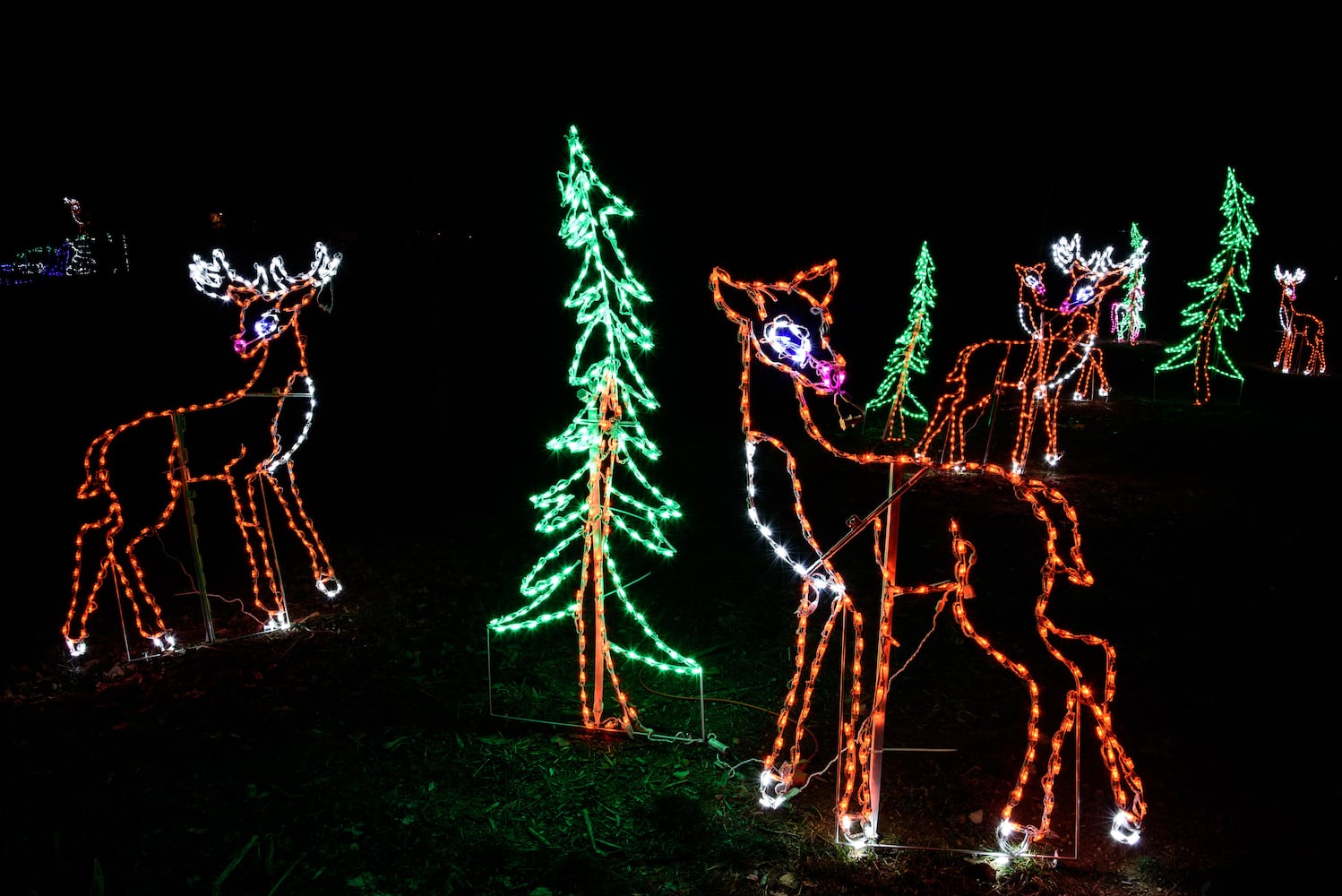 PHOTOS: ParkLights, a new winter wonderland at Caesar Ford Park in Xenia