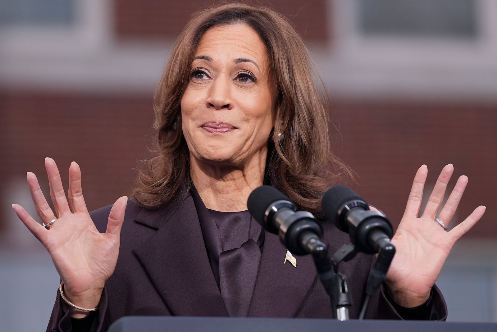 Vice President Kamala Harris delivers a concession speech after the 2024 presidential election, Wednesday, Nov. 6, 2024, on the campus of Howard University in Washington. (AP Photo/Jacquelyn Martin)