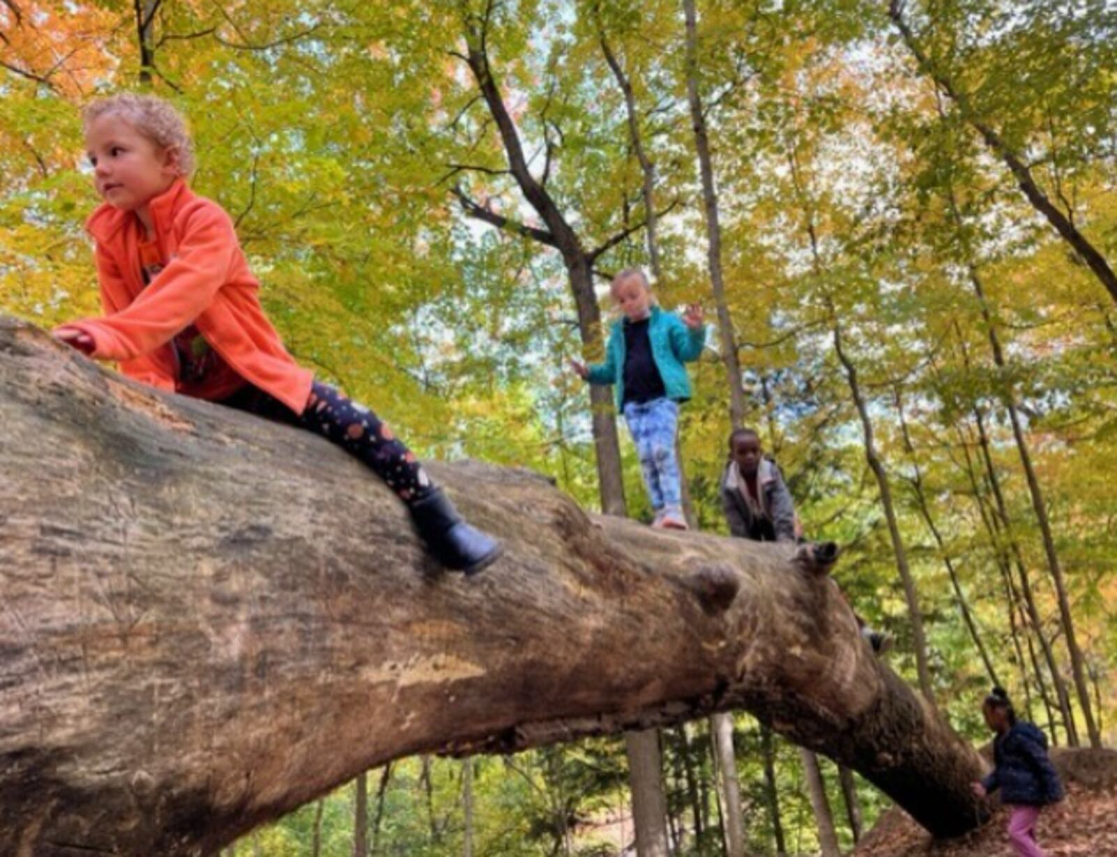 Southdale Elementary kindergarten students explore Hills and Dales MetroParks. CONTRIBUTED