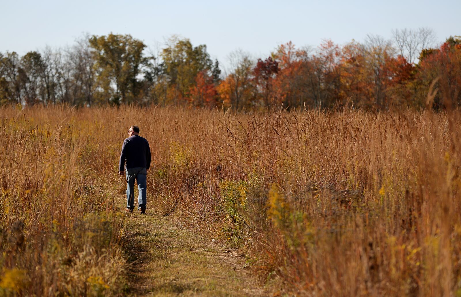 
Five Rivers MetroParks has constructed miles of new trails at Germantown MetroPark. The additional mileage snakes through prairie, mature woodlands and wetlands.  LISA POWELL / STAFF 