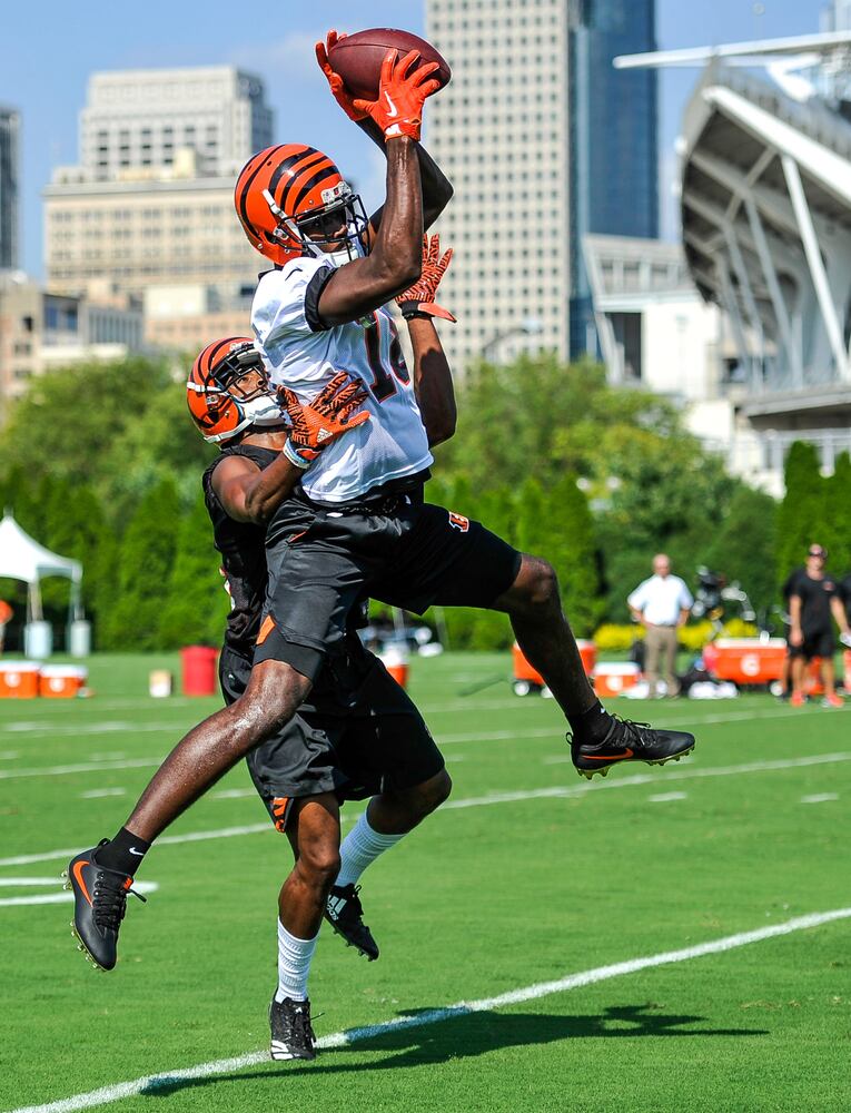 Bengals Training Camp Day 1