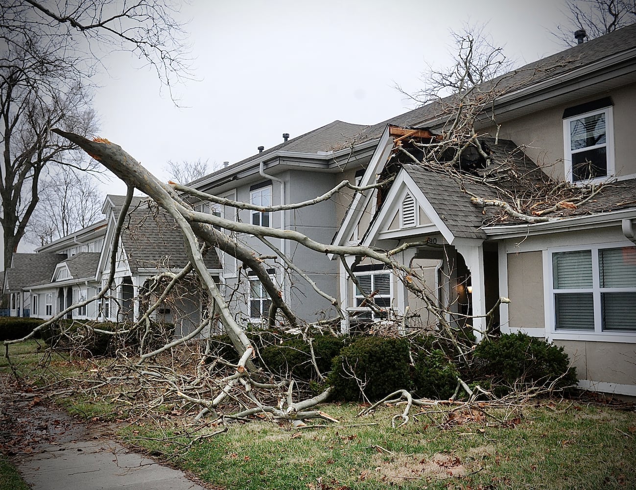 Storm damage Off airway Road