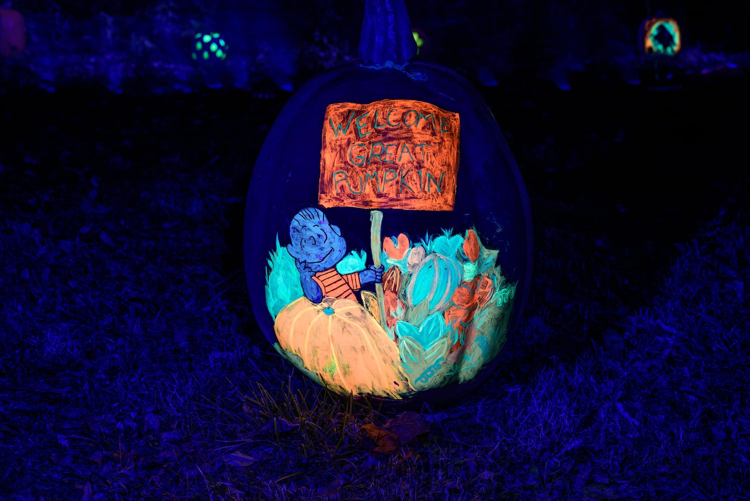 PHOTOS: 2024 Pumpkin Glow at Caesar Ford Park