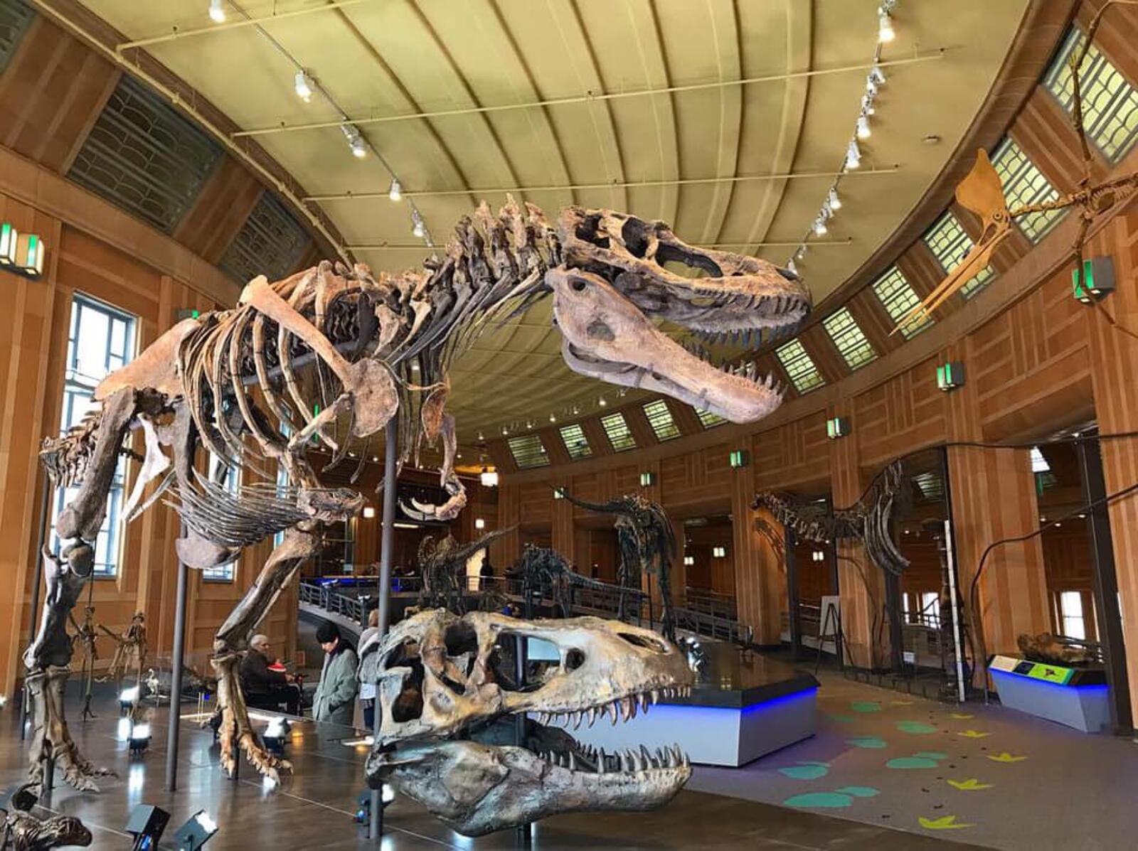 The Cincinnati Museum Center will reopen July 17. Dinosaur Hall is one of the exhibits popular among visitors. CINCINNATI MUSEUM CENTER