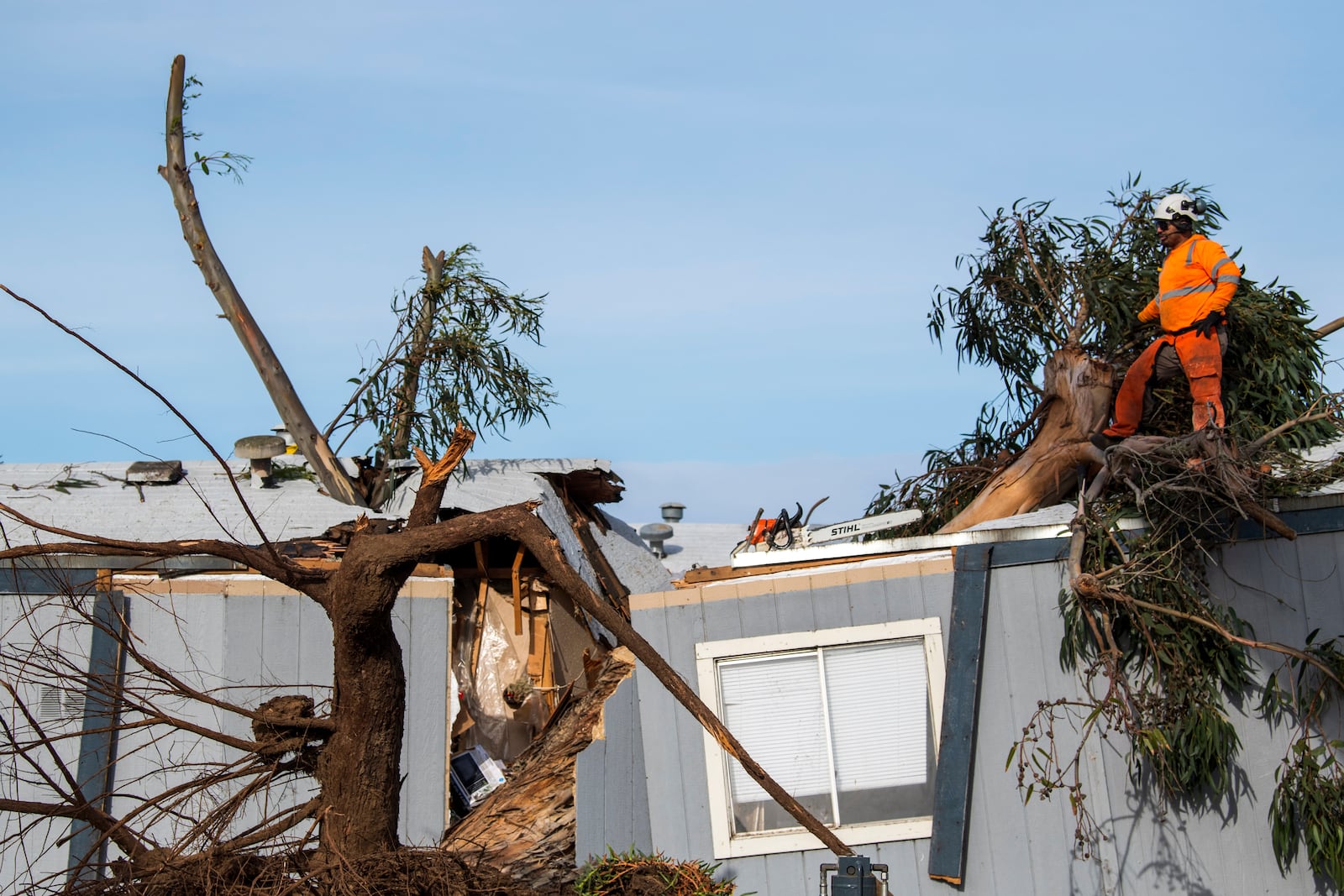 Workers remove a large tree that fell into a mobile home in Seaside, Calif., Saturday, Dec. 14, 2024. (AP Photo/Nic Coury)