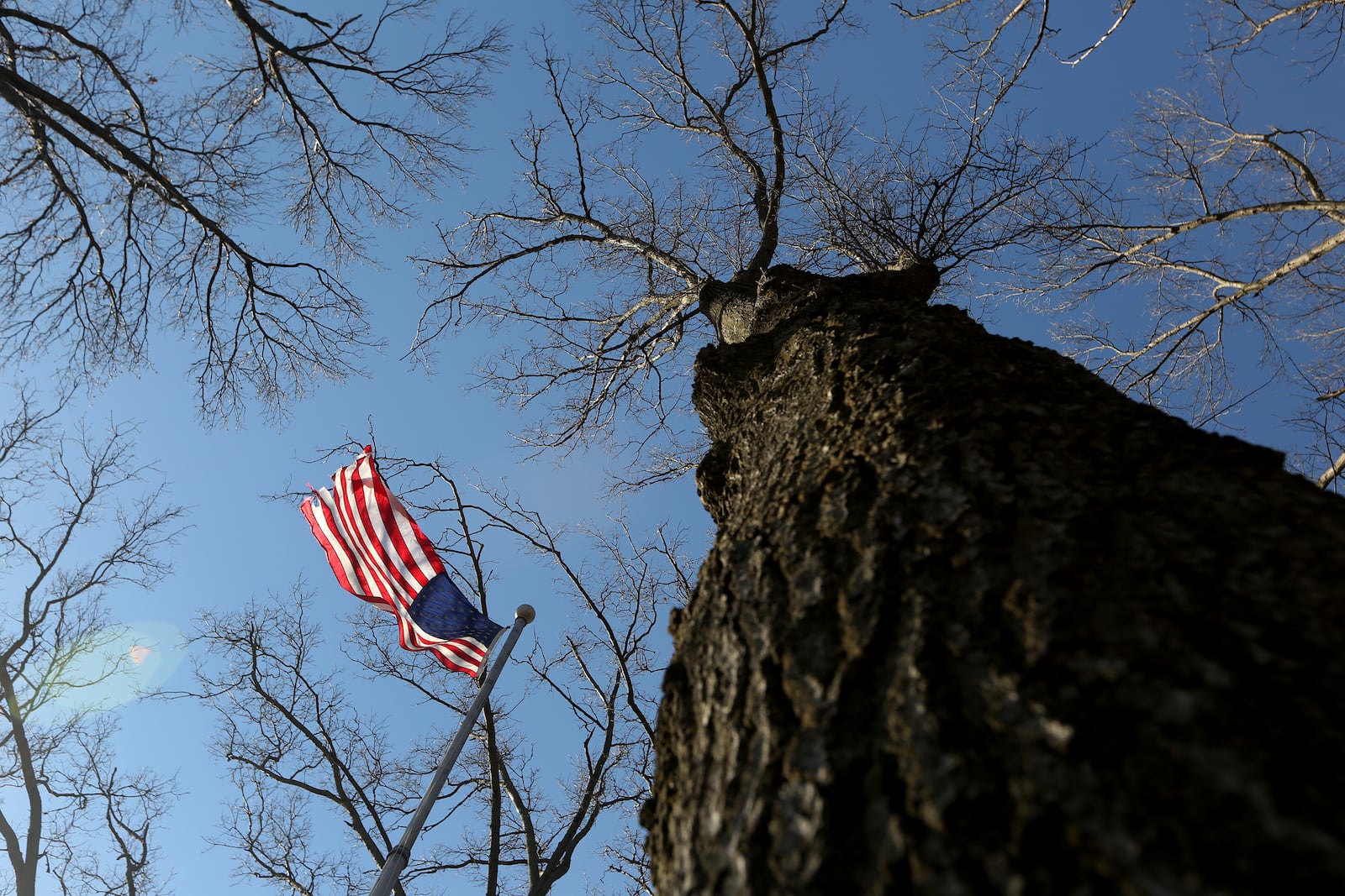 Victory Oak Knoll, a grove of 180 oak trees, was planted in 1921 to commemorate local World War I veterans. The site, within Dayton’s Community Golf Course, is cared for by Kettering Boy Scout Troop 193. Invasive honeysuckle has taken over the grove of trees and the scout troop is raising funds to rent the machinery needed to remove the plant growth. LISA POWELL / STAFF