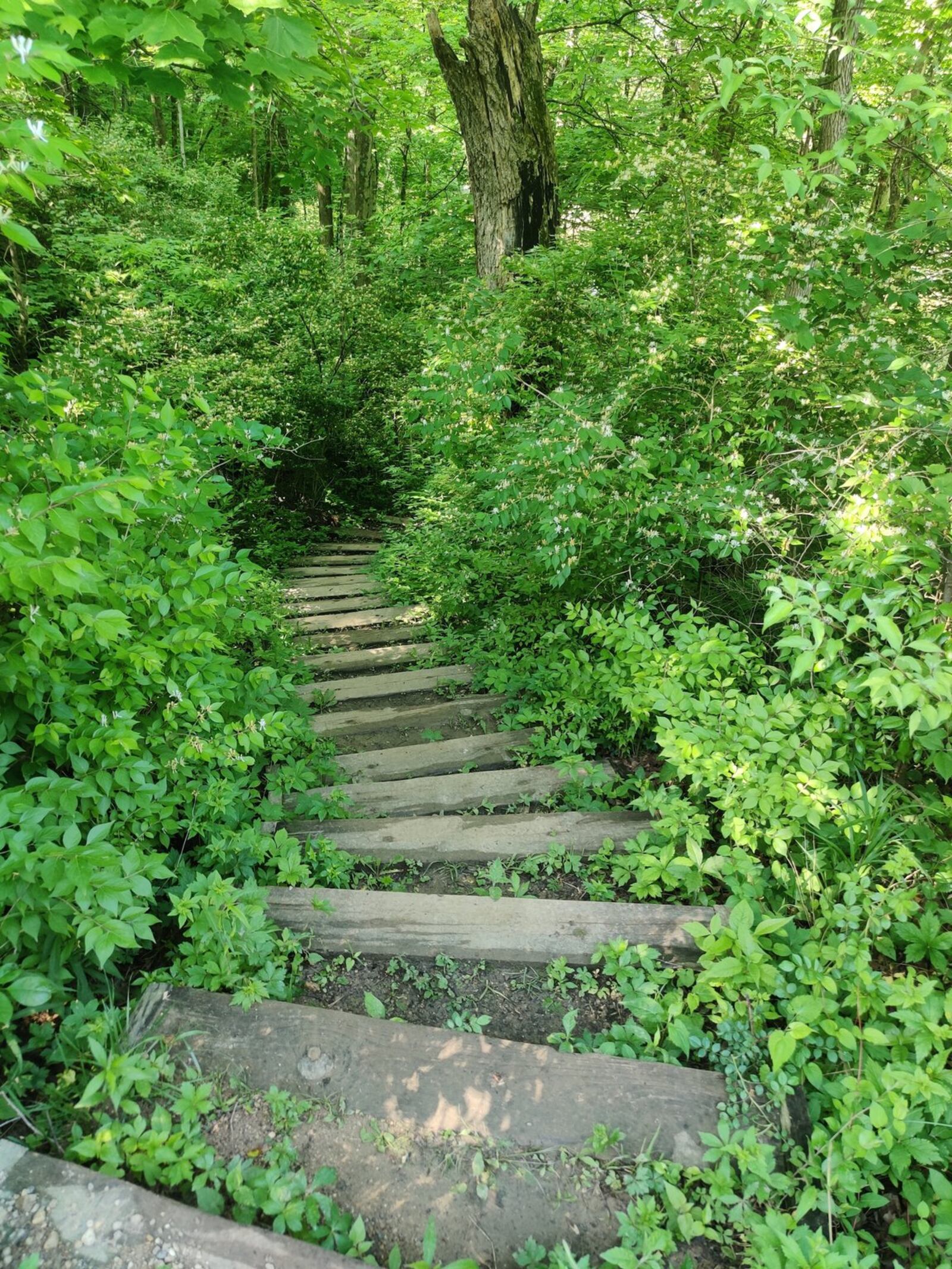 The MetroParks Trails Challenge is a fun way to explore the many miles of recreational trails in the area. CONTRIBUTED