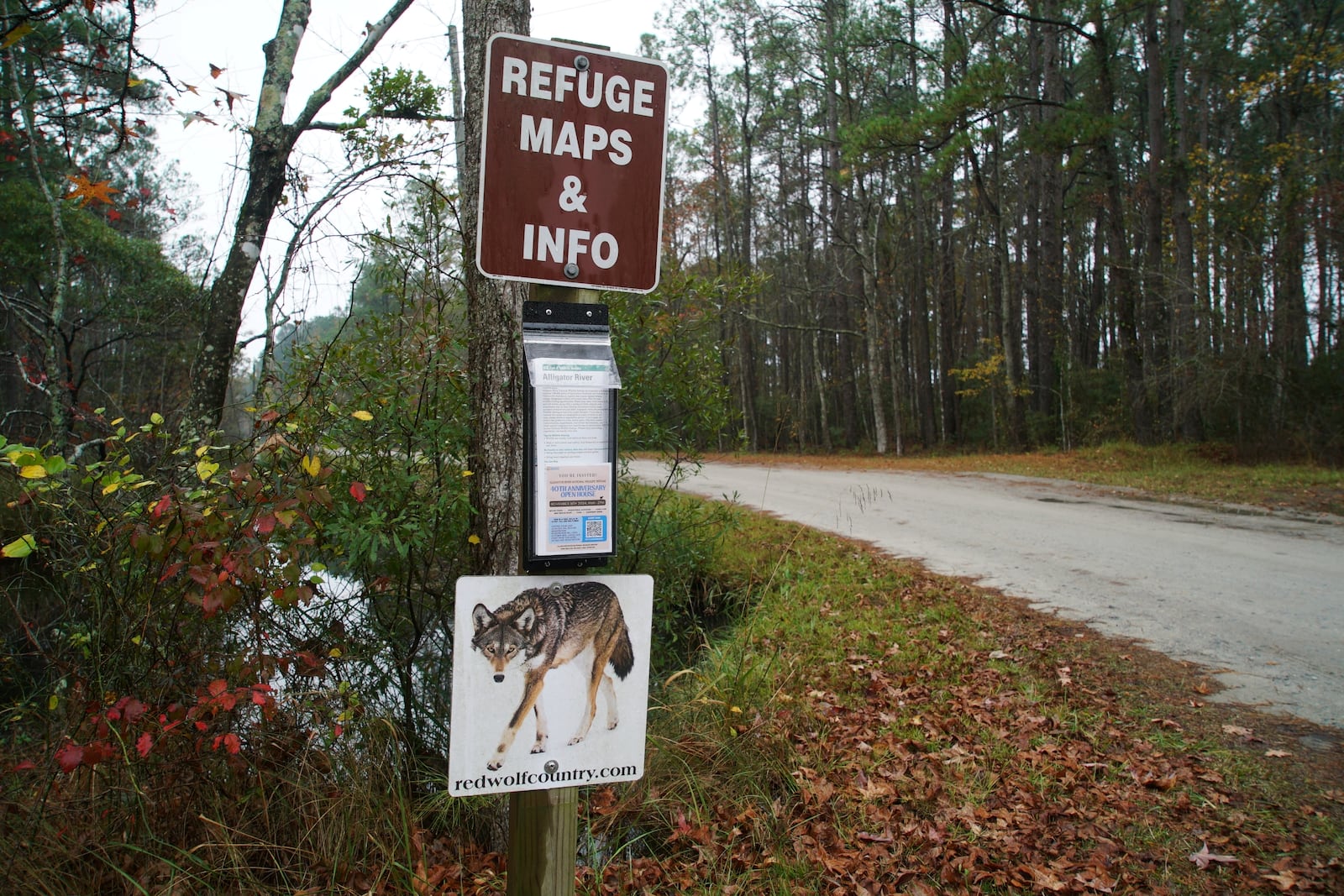 A sign and map station mark "red wolf country" in the Alligator River National Wildlife Refuge near Manns Harbor, N.C., on Wednesday, Nov. 20, 2024. (AP Photo/Allen G. Breed)