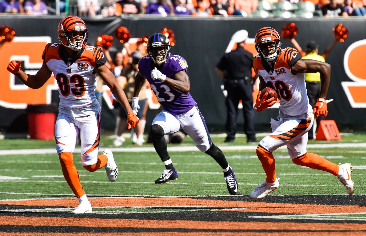 Cincinnati Bengals vs Baltimore Ravens Football