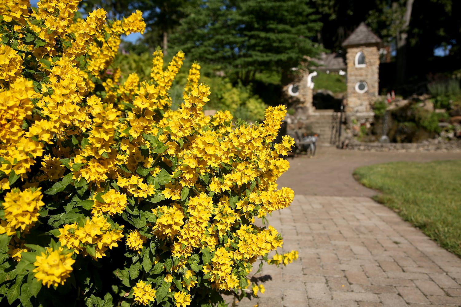 PHOTOS: Take a stroll through the glorious Grotto Gardens