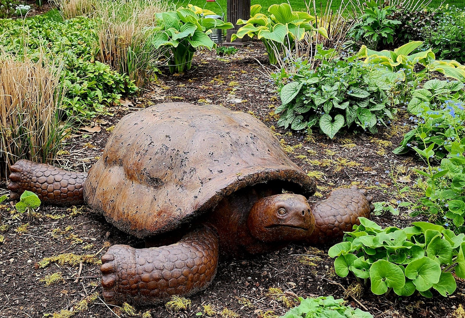 This life-size tortoise will greet visitors to the Garden Gems Tour. CONTRIBUTED