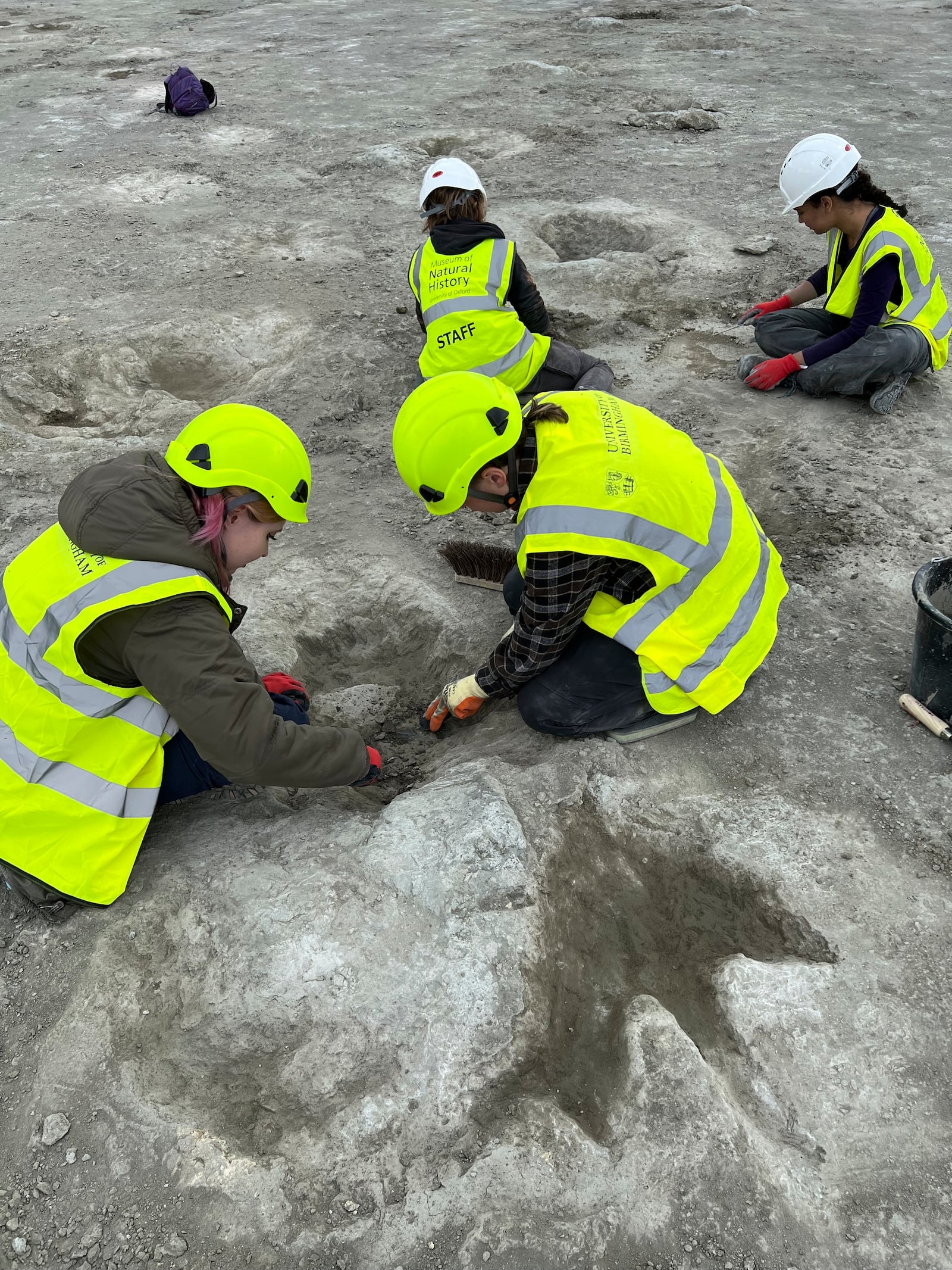 In this undated photo provided by Oxford University Museum of Natural History and the University of Birmingham on Thursday, Jan. 2, 2025, work underway as five extensive trackways that formed part of a “dinosaur highway” are uncovered, at Dewars Farm Quarry in Oxfordshire, England. (Emma Nicholls/OUMNH via AP)