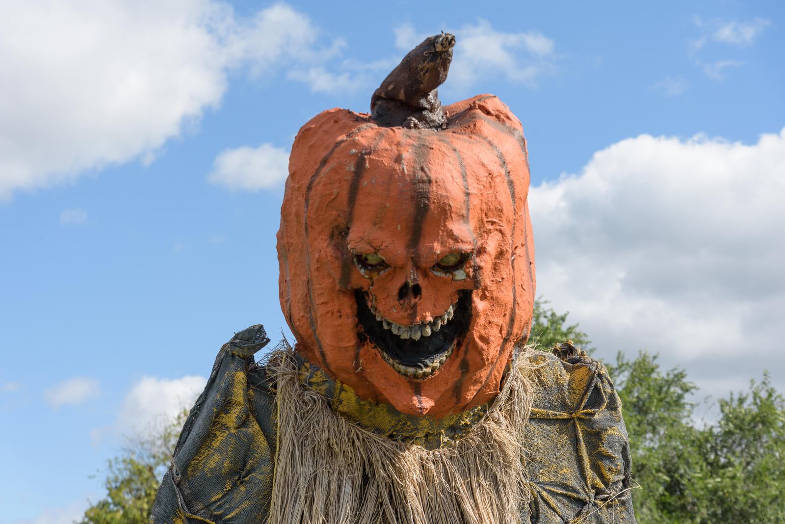 If you take a walk in downtown Fairborn in October, chances are you’ll see larger than life outdoor Halloween displays courtesy of Mike Foy, owner of Foy’s Halloween stores. TOM GILLIAM / CONTRIBUTING PHOTOGRAPHER