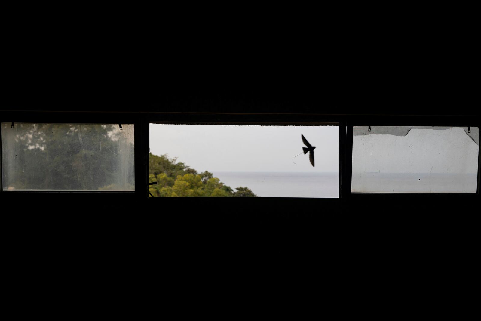 A bird soars out of a missing window of the turbine and generator building of the dormant Bataan Nuclear Power Plant on the outskirts of Manila, Philippines, Monday, Jan. 20, 2025. (AP Photo/Anton L. Delgado)