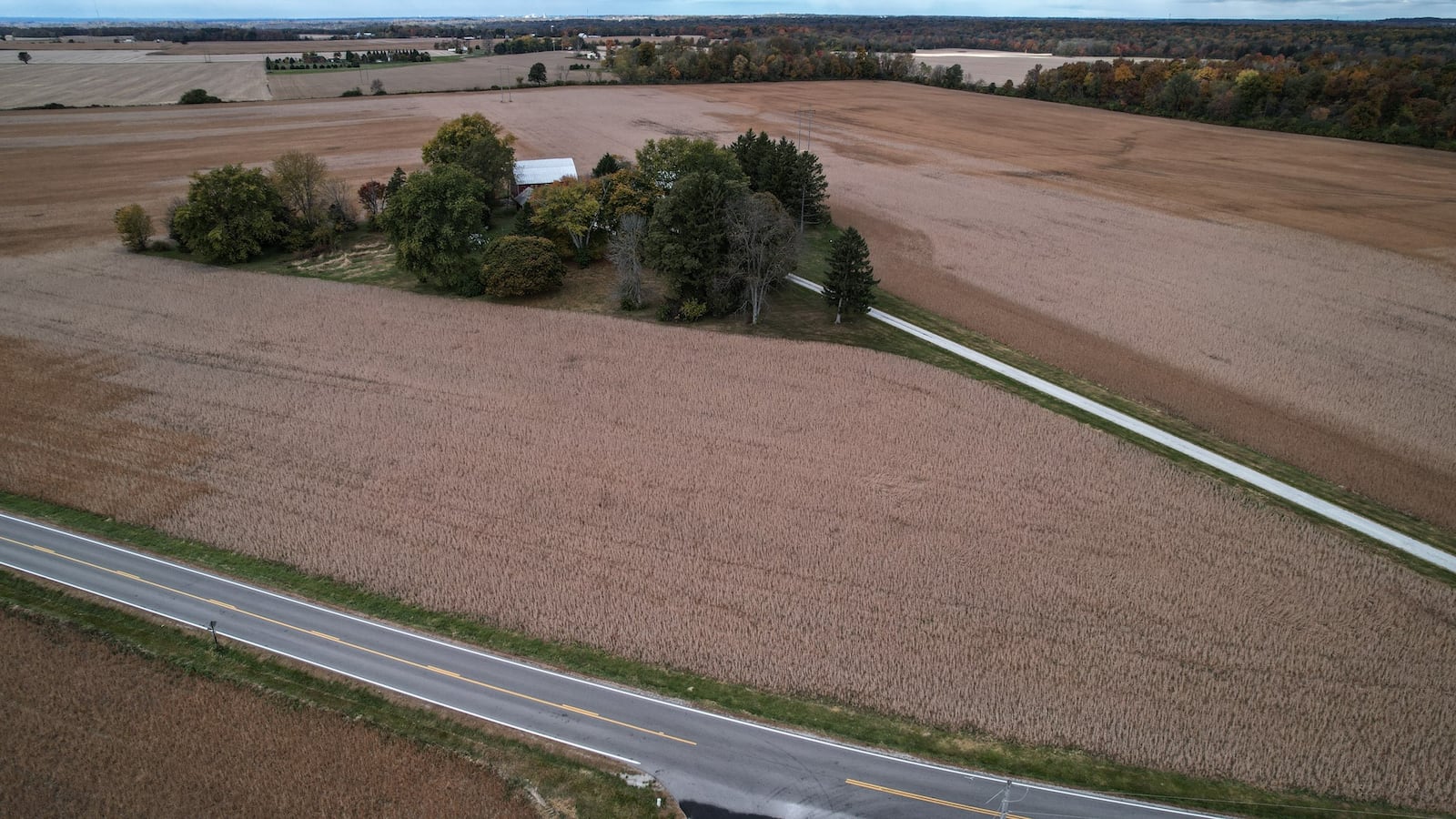 Farmland in Cedarville Twp. is leased to Kingwood Solar to build a proposed utility-scale solar electric generation facility. The company also leased land in Miami and Xenia townships in Greene County. JIM NOELKER/STAFF