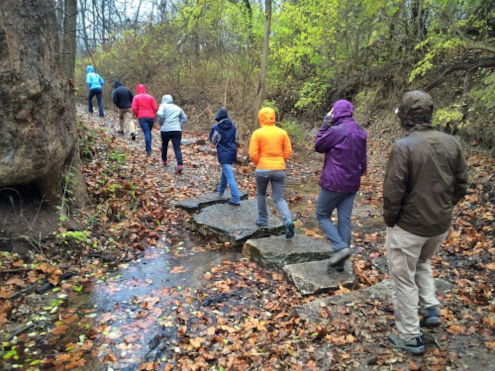 The MetroParks Trails Challenge is designed to be completed at your own pace - CONTRIBUTED