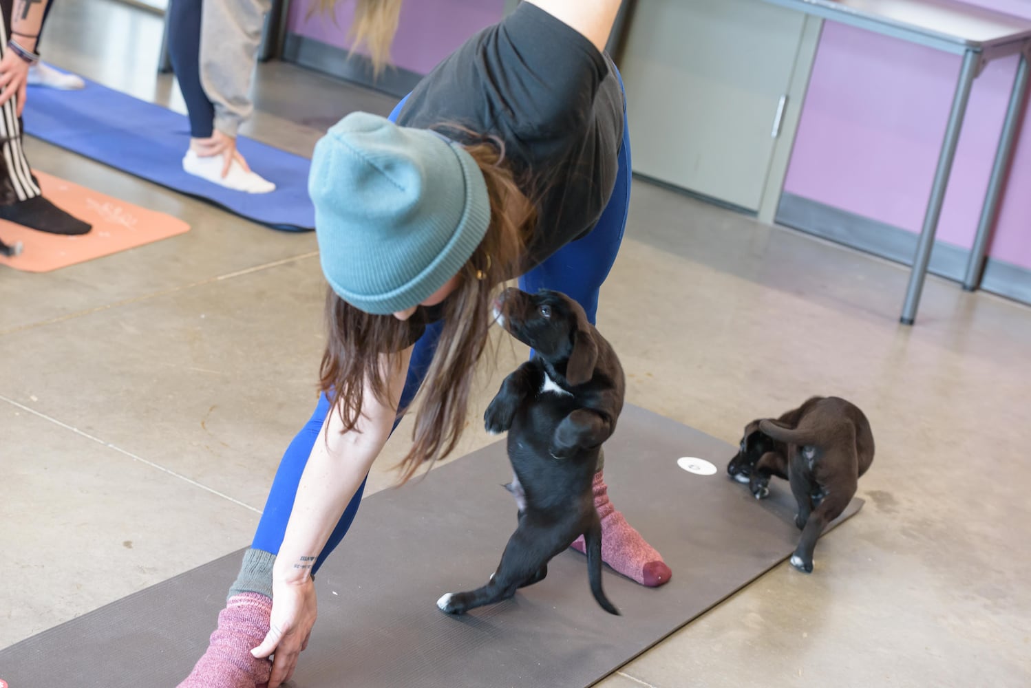 PHOTOS: Puppy Yoga at SICSA Pet Adoption and Wellness Center