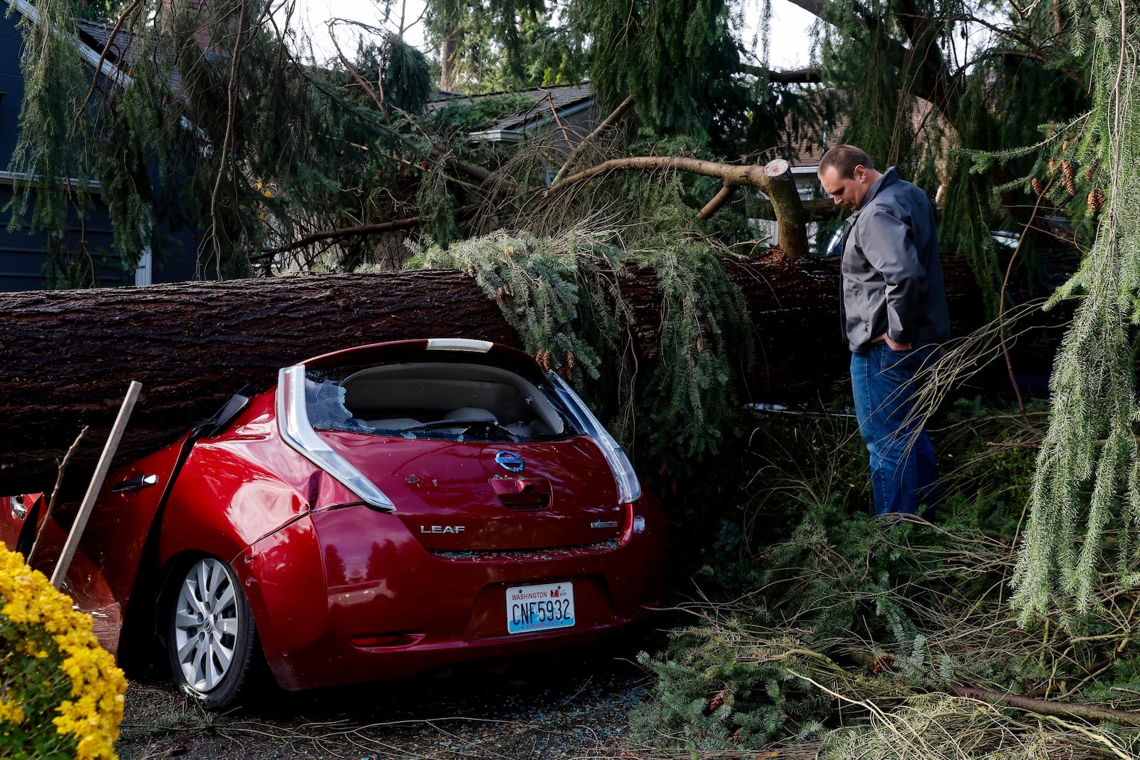 Mason Friedline inspects damage to vehicles from severe weather Wednesday, Nov. 20, 2024, in Seattle. (Jennifer Buchanan/The Seattle Times via AP)