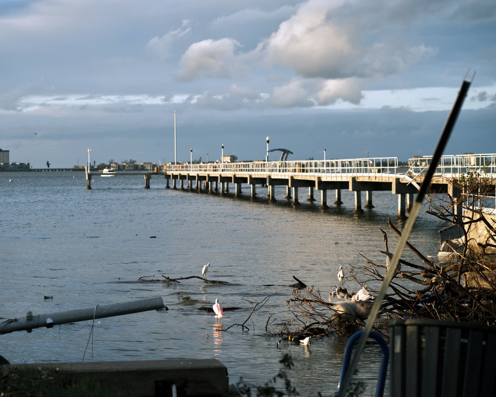 
                        Birds flock to the now-calm waters of Tampa Bay in Gulfport, Fla., on Thursday morning, Oct. 10, 2024. After leaving a path of destruction across Florida, with flooding and hurricane-force winds ravaging communities across the state overnight, Hurricane Milton’s center was moving away from land on Thursday morning and into the Atlantic Ocean, forecasters said.  (Zack Wittman/The New York Times)
                      