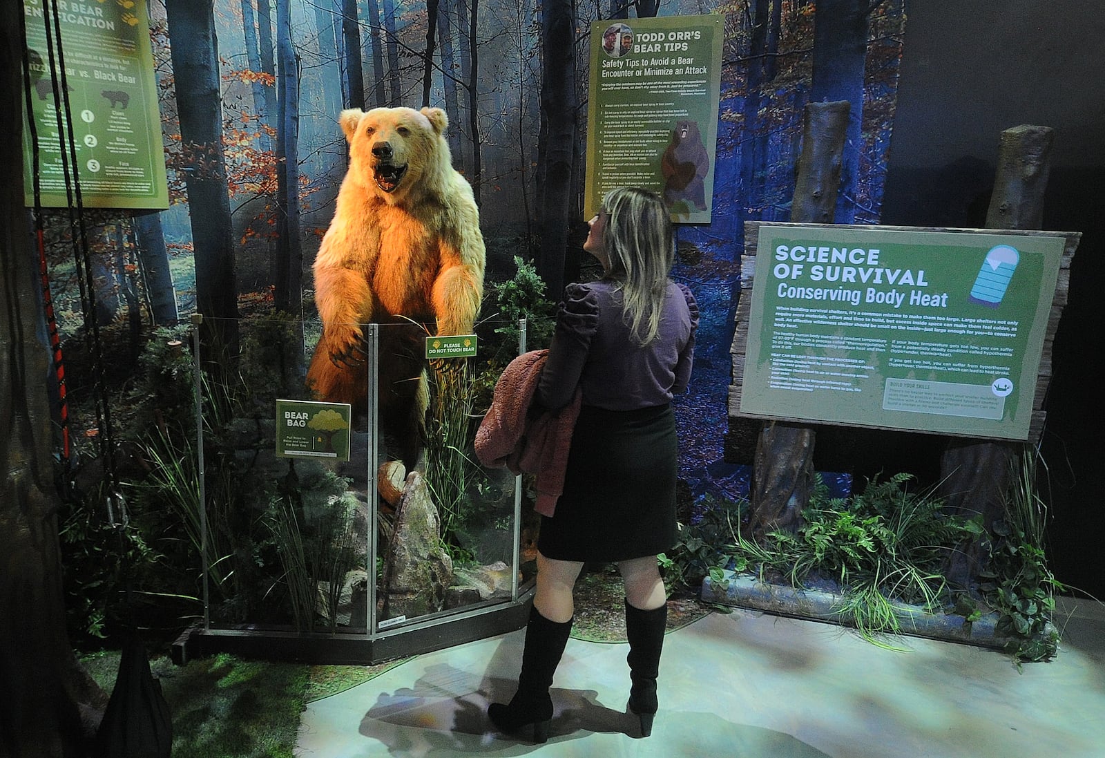 The exhibit is a walk-through, interactive gallery with nine “zones,” each devoted to a different environment or scenario like safety tips to avoid bear encounter or minimize an attack. MARSHALL GORBY\STAFF