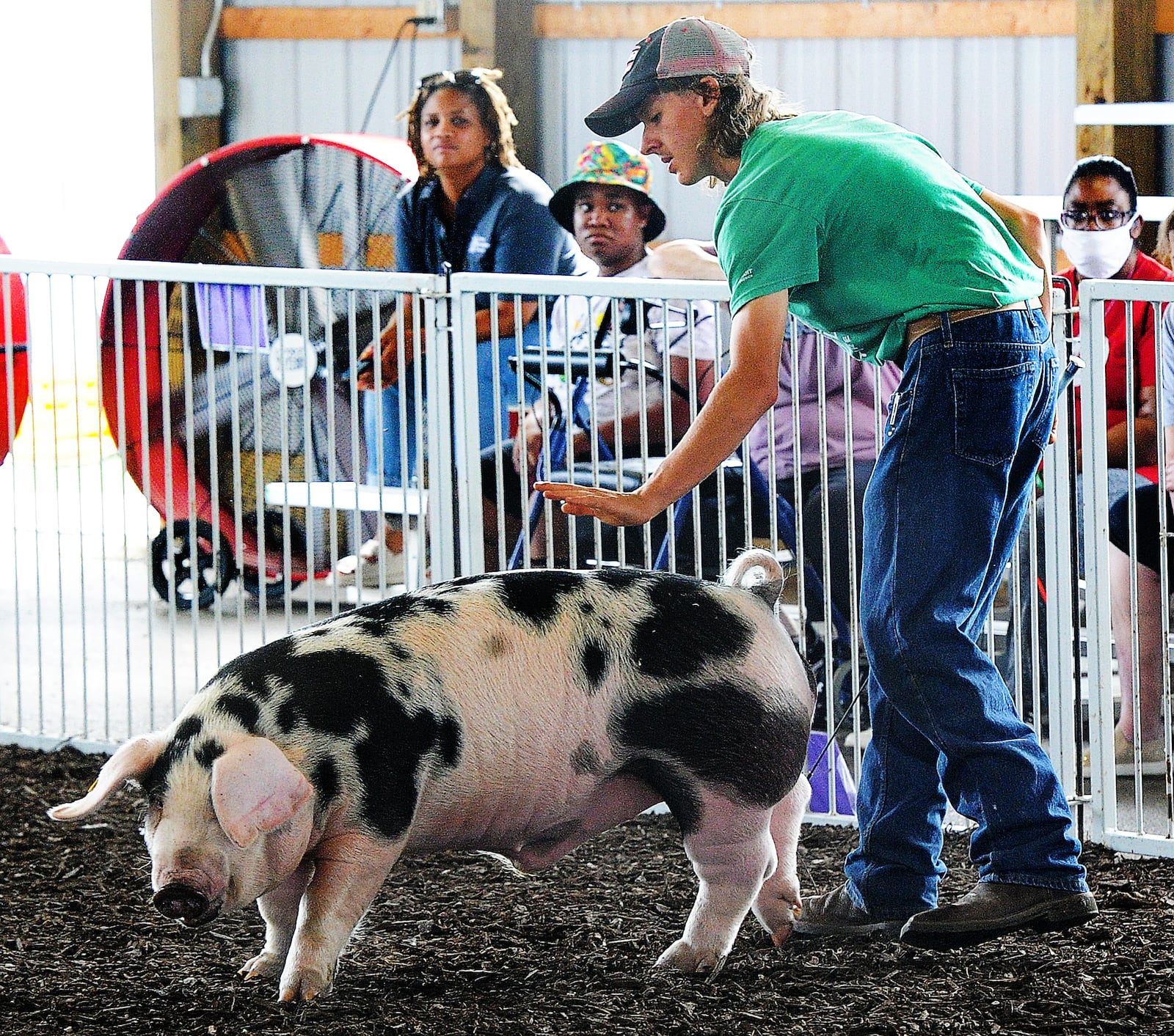 Chaynse Eby, 16, of Brookville, works with his hog Thursday,  July 13, 2023 at the Montgomery County Fair. MARSHALL GORBY\STAFF