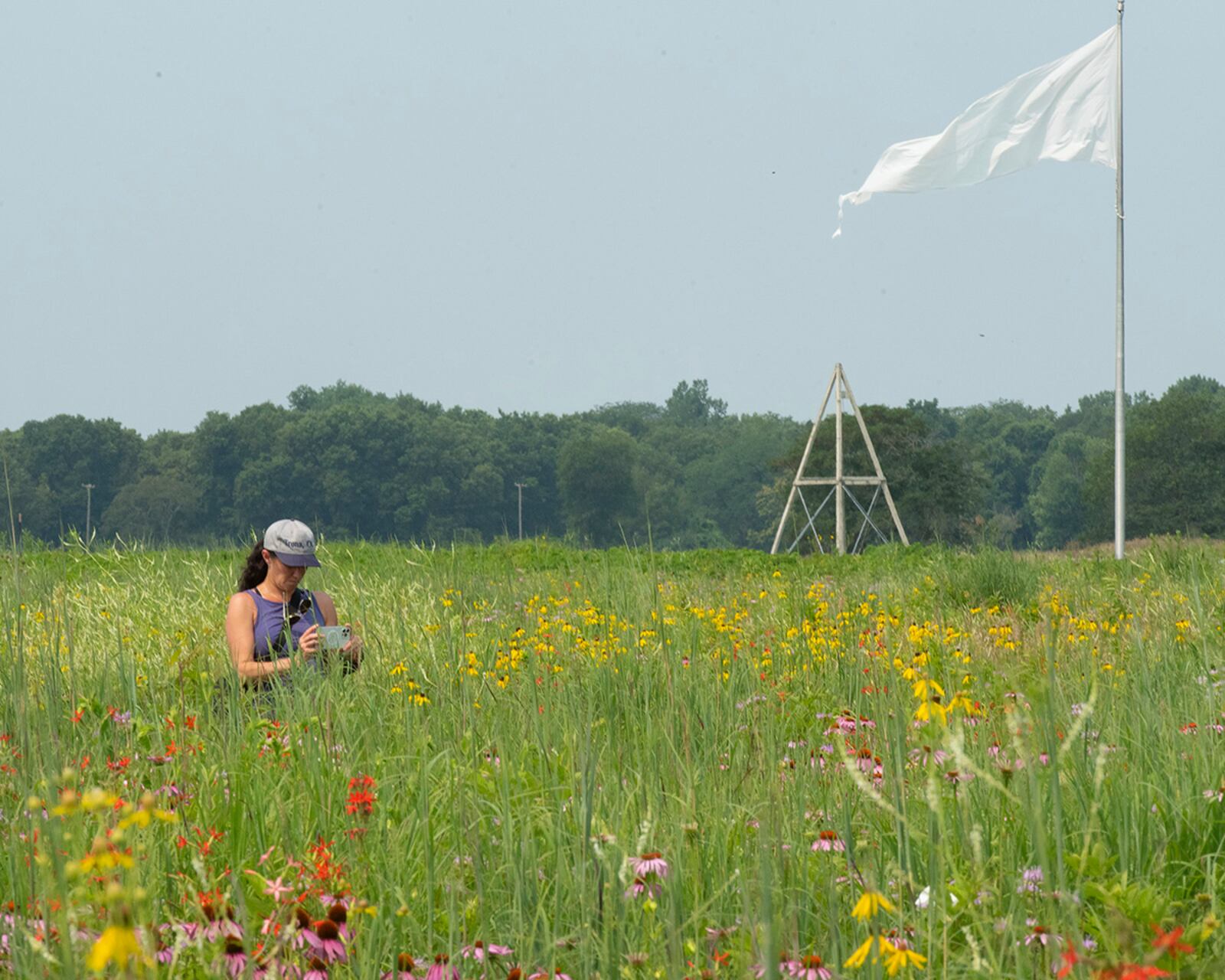 Valerie Kosheleff uses her phone to take a picture of a hummingbird July 19 among the wildflowers on Wright-Patterson Air Force Base’s Huffman Prairie. The flag in the background marks the edge of Huffman Prairie Flying Field, where the Wright brothers learned how to fly. U.S. AIR FORCE PHOTO/R.J. ORIEZ