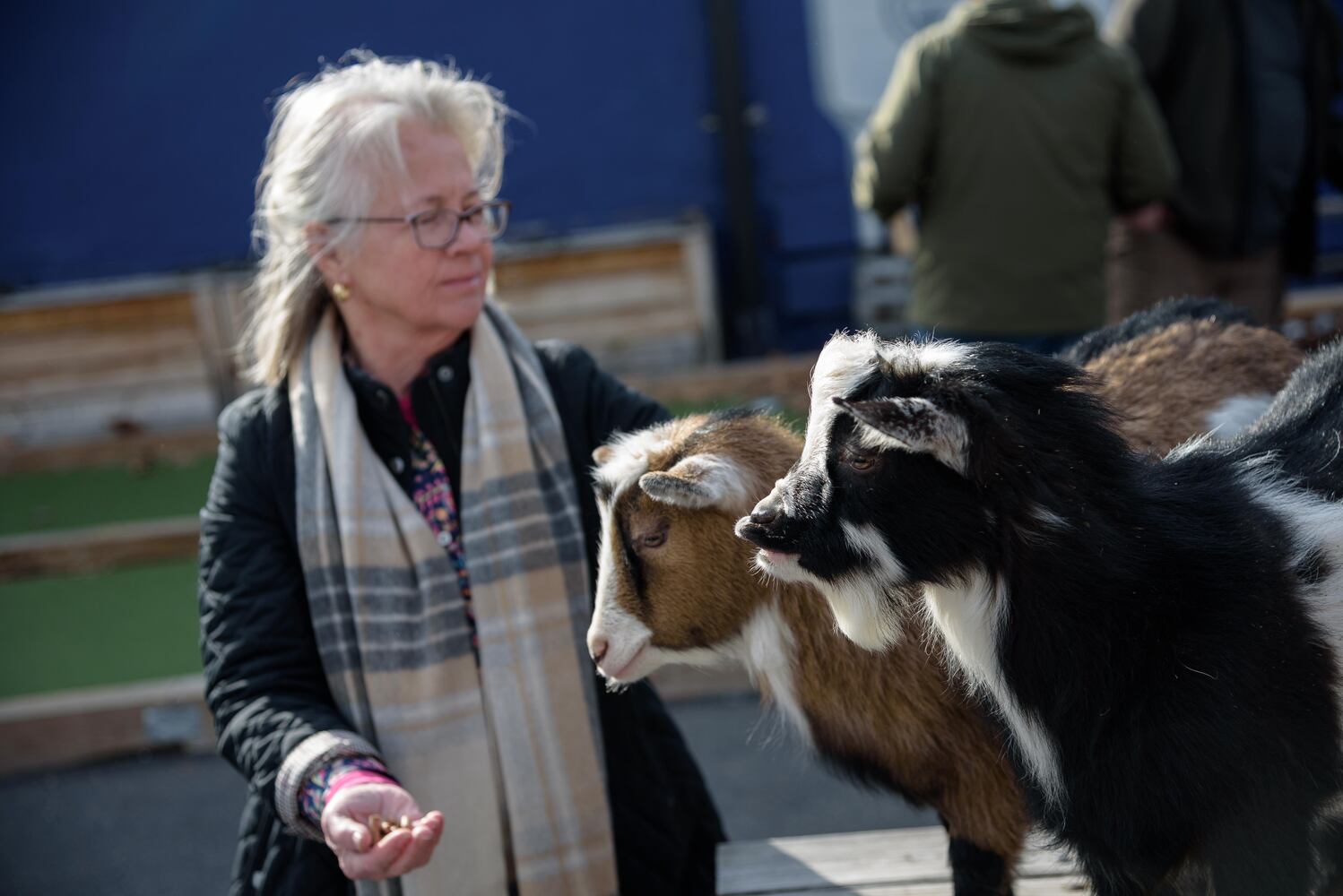 PHOTOS: Did we spot you frolicking with the cutest kids at Dayton Beer Company’s GoatFest?