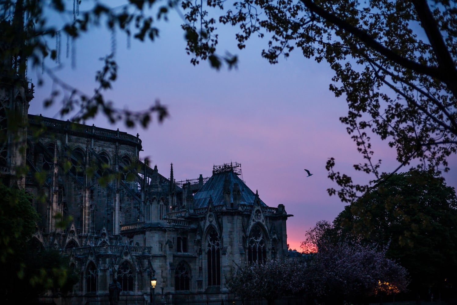 Photos: Notre Dame fire aftermath