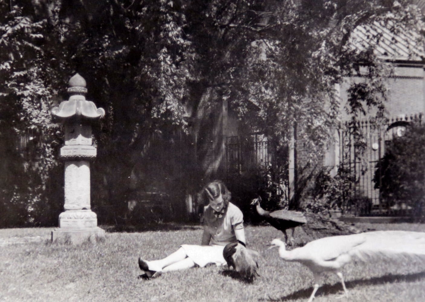 Dayton Art Institute's petting zoo