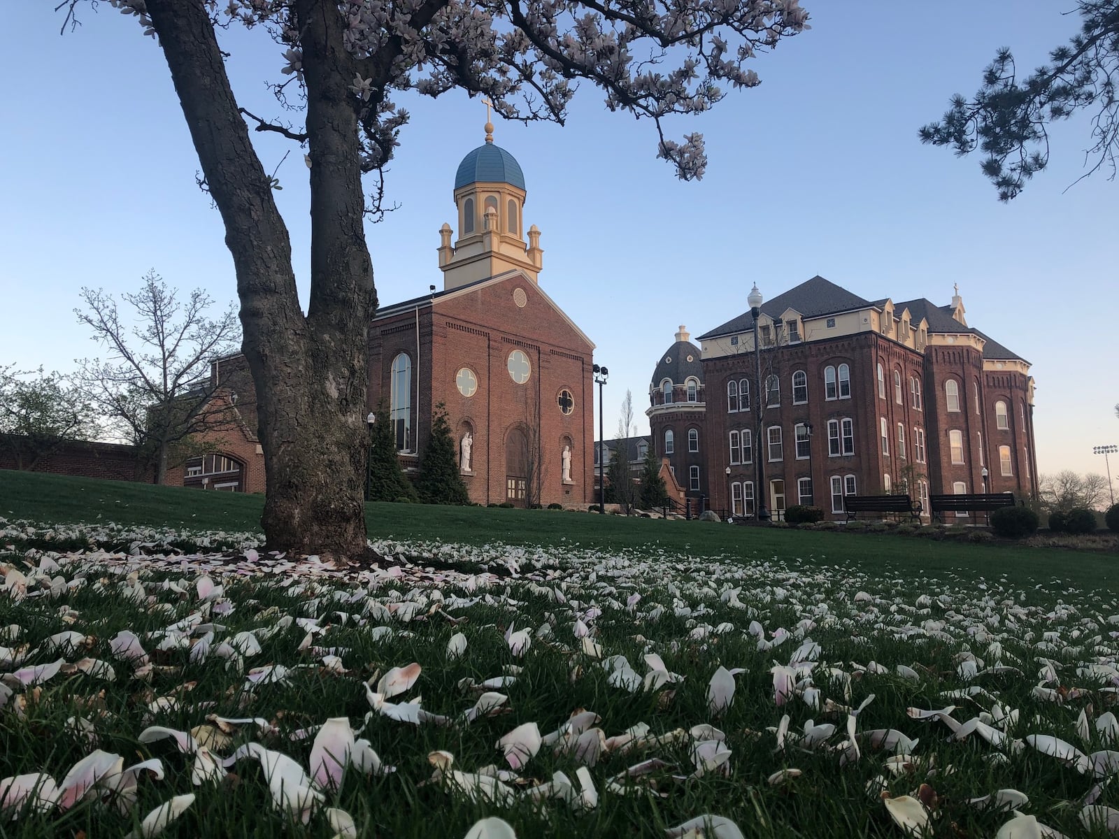 The University of Dayton’s campus — from library lawn, to Chapel of the Immaculate Conception and St. Joseph Hall — sits nearly empty on a recent April day. JEREMY P. KELLEY / STAFF